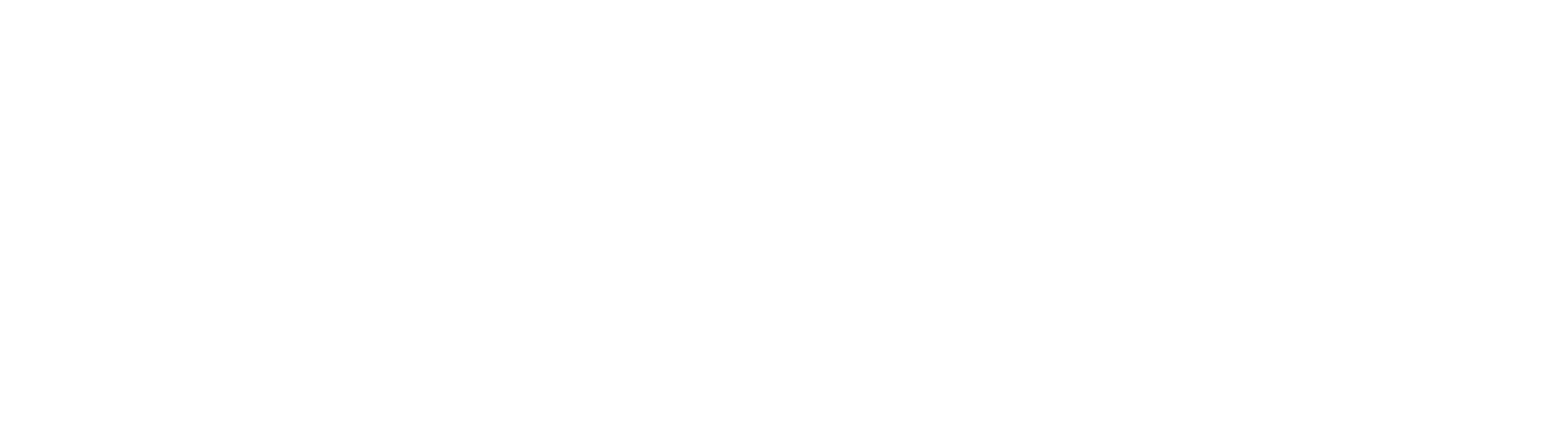 Klarna_Logo_white_02.png